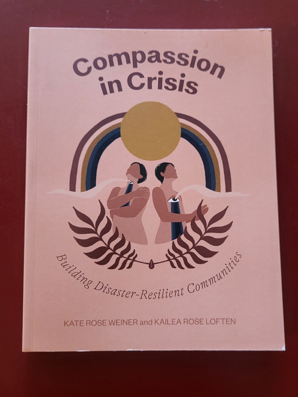 Compassion in Crisis Building Disaster-Resilient Communities Paperback Book